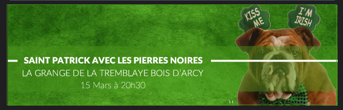 Saint Patrick et les Pierres Noires
